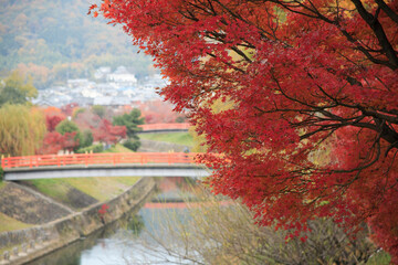 竜田川の紅葉