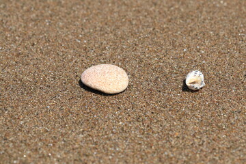 Fototapeta na wymiar 바닷가의 모래와 조개가 보이는 아름다운 풍경