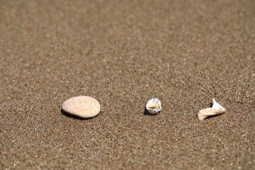 Fototapeta na wymiar 바닷가의 모래와 조개가 보이는 아름다운 풍경