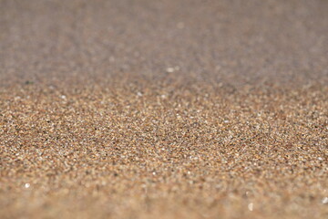 Fototapeta na wymiar 바닷가의 모래가 보이는 아름다운 풍경