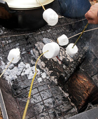 キャンプ調理・焼き始めたマシュマロ