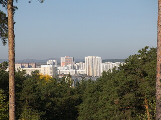 Obraz premium Far from the city in the forest