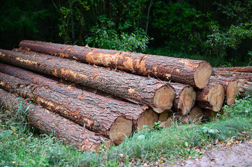 Photo of cut trees in the forest. The logs lie in the open air, stacked in piles.