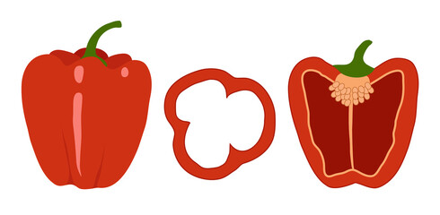 Red sweet pepper. Whole and cut in half. Isolated vegetables on white background. Vector illustration.