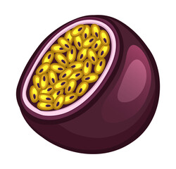 Purple passion fruit. Cut half of tropical fruit. Isolated on white background. Vector illustration.