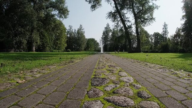 Perspective of country cobblestone road. Grass and moss sprout between the road stones.