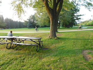 Moment of relaxation on a bench in a beautiful park
Moment de détente sur un banc dans un magnifique parc
