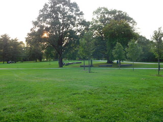 beautiful park full of grass and trees constituting a beautiful lawn and forming a splendid landscape
