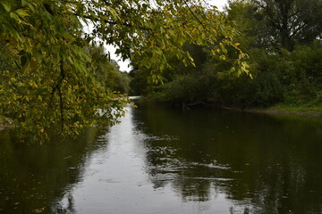 Obraz premium reflection of trees in the water