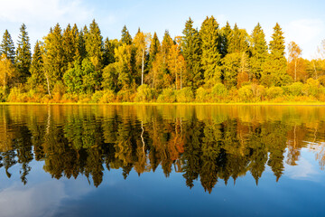 The bright yellows of an autumn lake landscape with reflections of calm water are enhanced by the light of the sun at sunset
