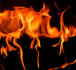 Red blaze Fire flame on a black background