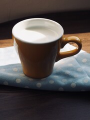 도자기잔에 담긴 신선한 흰우유