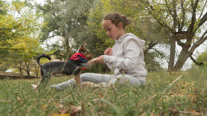 
child in the park plays with a dog. girl and dog for a walk