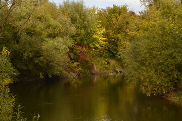 Fototapeta premium autumn in the park