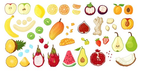 Big set with tropical fruit, berries and roots. Natural raw fresh food for vegetarian nutrition. Illustration for fresh smoothie or diet flyer. Vector.