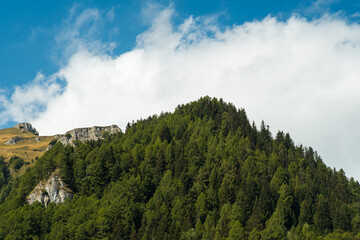 A Beautiful Mountain Peak Covered by an Evergreen Forest Standing on a White Cloudy Background