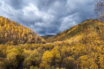 Fototapeta premium Dramatic stormy sky in the mountains in autumn. Picturesque autumn landscape with colorful bright forest.