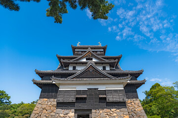 Fototapeta premium 松江城 国宝天守閣 