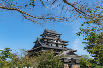 Fototapeta premium 松江城 国宝天守閣 