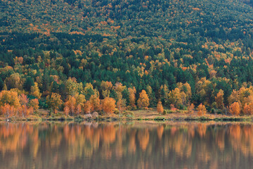 Autumn reflections of the Manjerokskoe lake, , Altai Republic, Russia