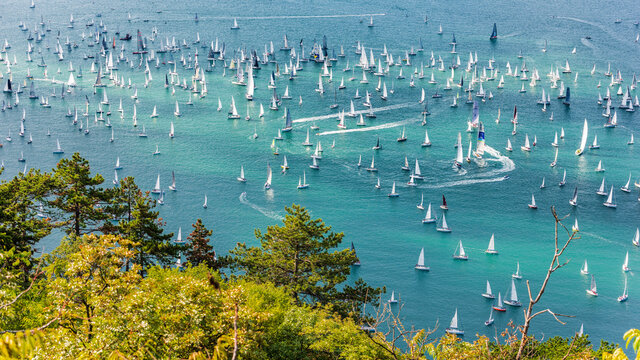 The gulf of Trieste and the fast race of the Barcolana. Italy