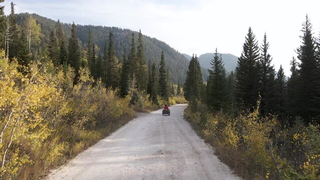 Low drone view of a atv driving slow through the forest in the mountains of Utah.