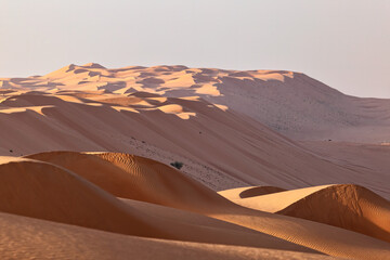 Fototapeta na wymiar A desert landscape with sand dunes at sunrise in an Arabian desert.