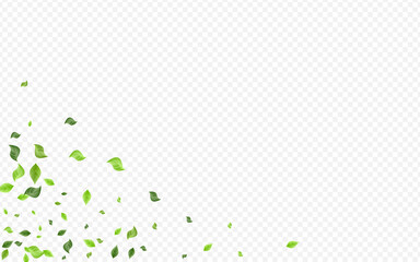 Green Greenery Blur Vector Transparent Background 