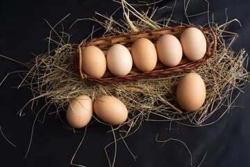 collecting eggs in a wicker basket from a hen's hay nest