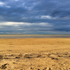 sand beach and stormy sky, Camargue, France