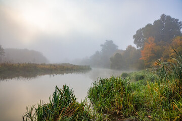 Foggy river in Minsk. In the middle of autumn! Bright colors of foliage colors! Green grass, yellow, orange and red foliage!