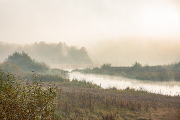 Beautiful golden autumn in the October park! Loshitsa Park! Svisloch river and yellow leaves of...