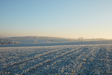 landscape in the morning winter