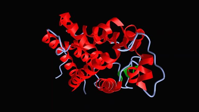 Animated model of the tertiary structure of human vitamin D receptor with the differently colored secondary structure elements, 3D cartoon model, black background