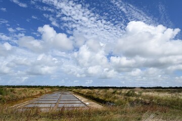 Marais salant, Ol&eacute;ron