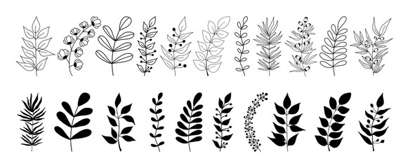 Set of black silhouettes of tropical leaves on an isolated white background. Botanical tree branches, palm leaf on the stem. Spring summer leaf. Concept design logo icons. Stock illustration. © Lapalovee
