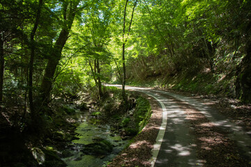 ガードレールのない川沿いの道路