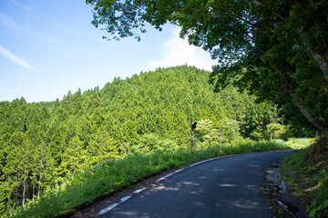 四国の山奥の開けた道路