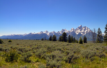 Wyoming - The Grand Tetons