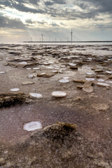 Wind farm on the Pink lake in Ukraine