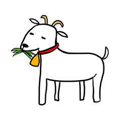 草をむしゃむしゃと食べる赤い首輪と黄色いベルを付けた白いヤギ