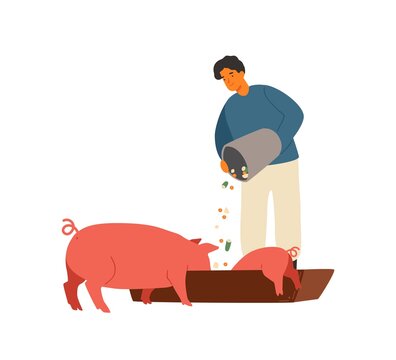 Farmer, rancher man feeding pig with vegetables. Piglet eating from wooden trough. Agricultural worker with domestic swine. Flat vector cartoon illustration isolated on white background