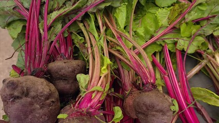 Raw red beets roots for sale at a local farmers market