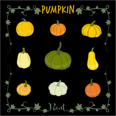 Collection of pumpkin illustration with vine frame on black background.