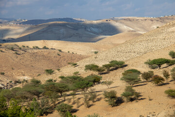 sand dunes in the desert