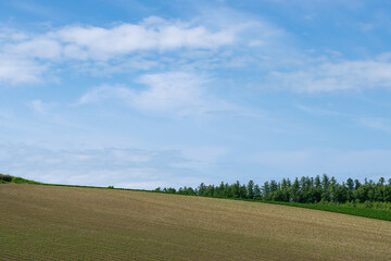 美瑛 丘の風景