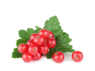 Currant berries isolated on white background