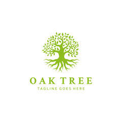 Oak Banyan tree logo design. Tree of life logo design inspiration
