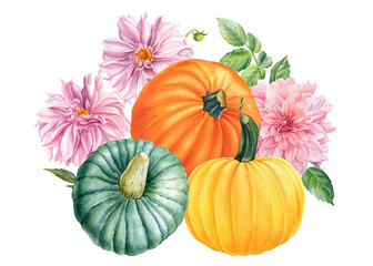 Composition with pumpkins and pink dahlias on a white isolated background, watercolor illustration, botanical painting