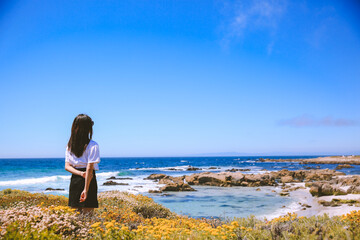 17 Mile Drive, California